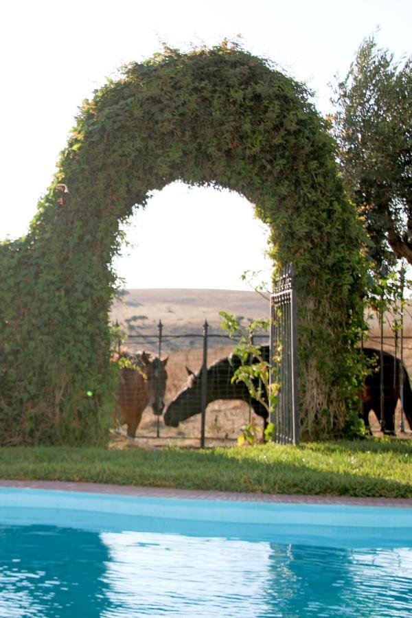 Monte Da Contenda Campo Maior Dış mekan fotoğraf